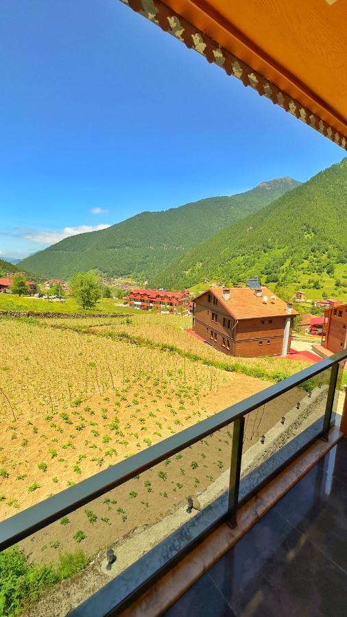 Auga Apart Uzungol Exterior photo